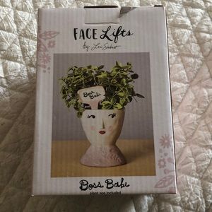 Flower/Succulent pot